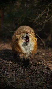 Jak wybaczyć sobie po rozstaniu i nie żyć przeszłością?